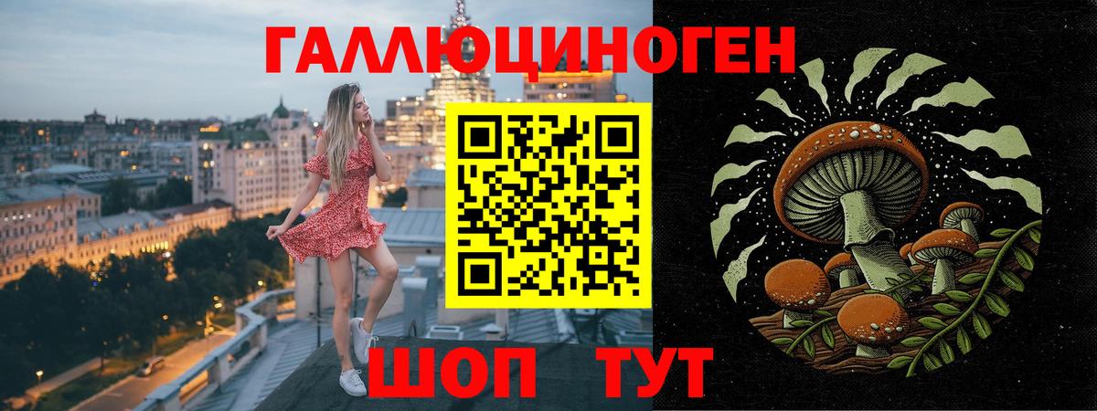 Псилоцибиновые грибы Cubensis  Вход с VPN  Озёры  Галлюциногенные грибы GOLDEN TEACHER 